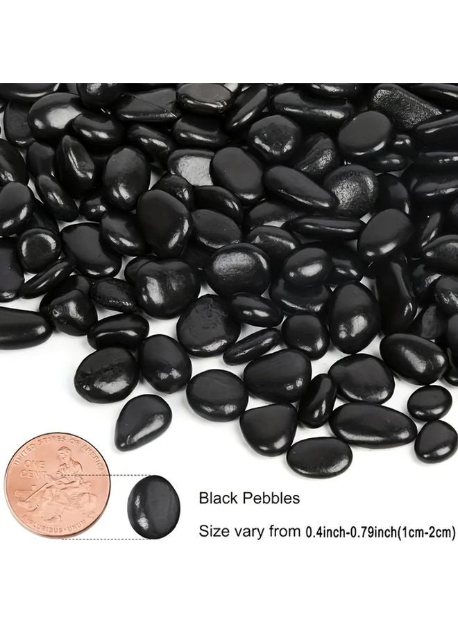 Small Black Decorative River Pebbles 4 Pounds for Aquarium Garden and Vase Filler - Image 5